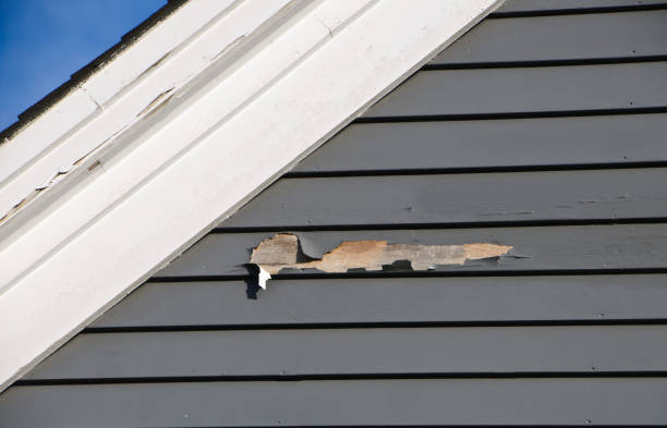 Affordable Siding Repair and Maintenance Services in Snowflake, AZ